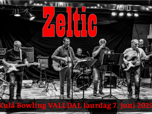 Dans med ZELTIC